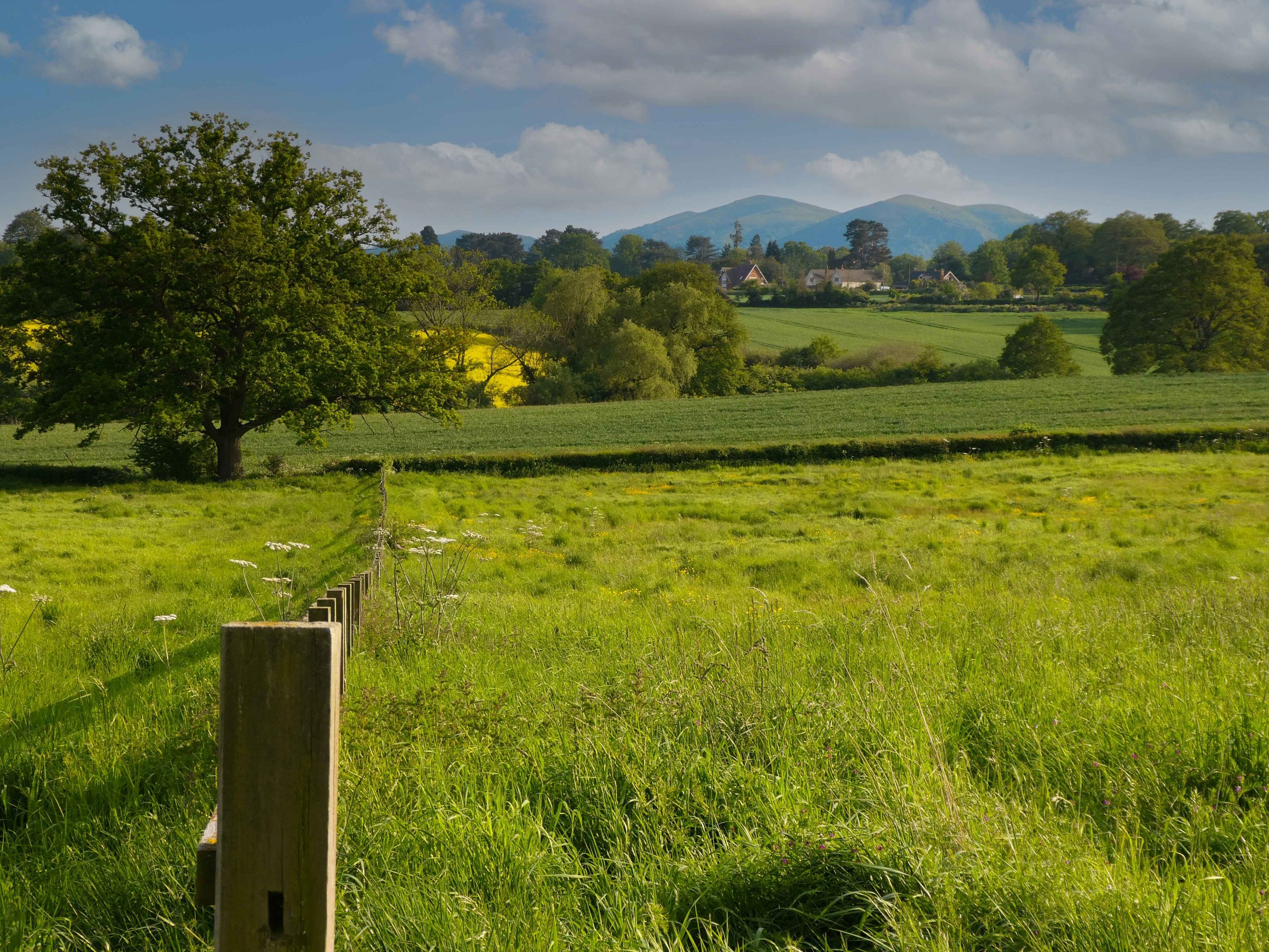 Malvern Hills View