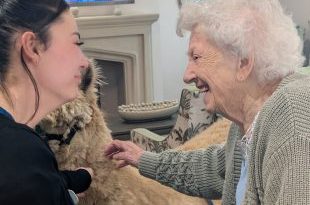 Alpaca Visit Brings Joy and Smiles to Mount Croft Care Home